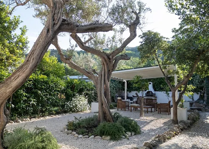 Flora S Фоссачезия